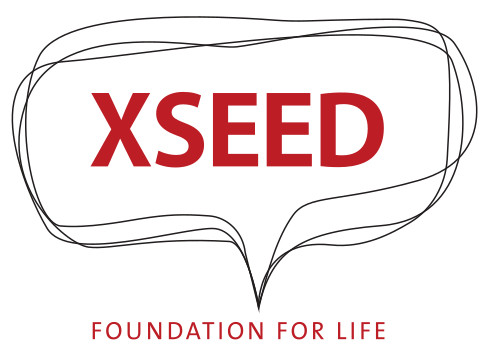 XSEED Education
