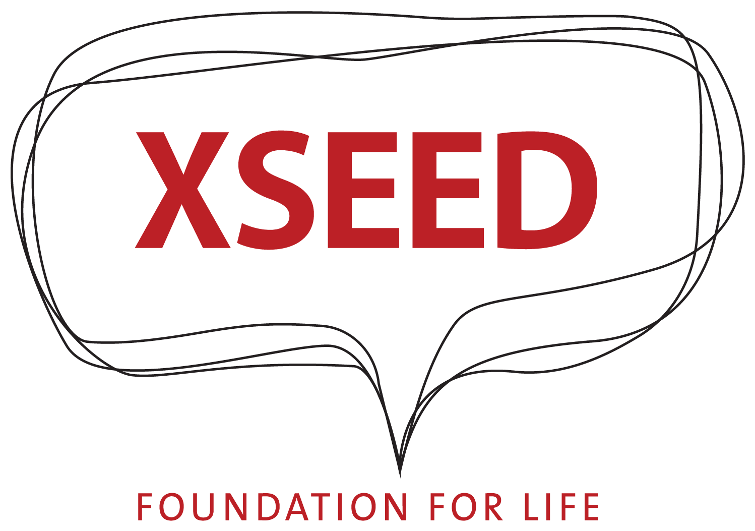 XSEED Education